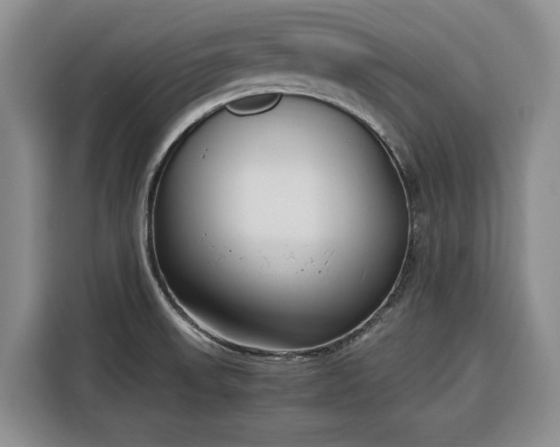 X0000116351523200912091119