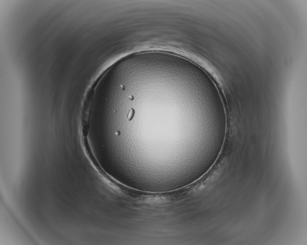 X0000116351525200912091119