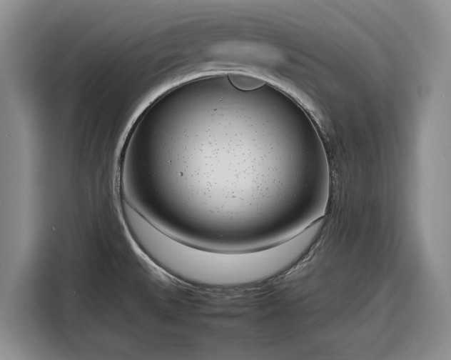 X0000116351527200912091119