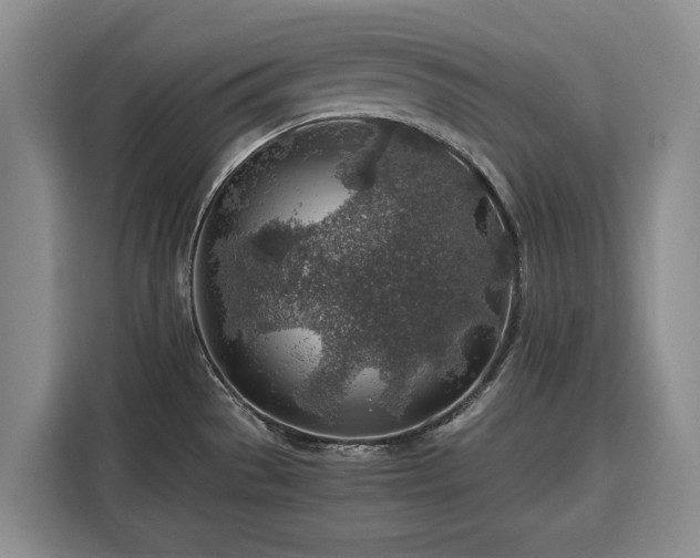 X0000116351529200912091119