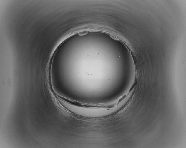 X0000116351530200912091119