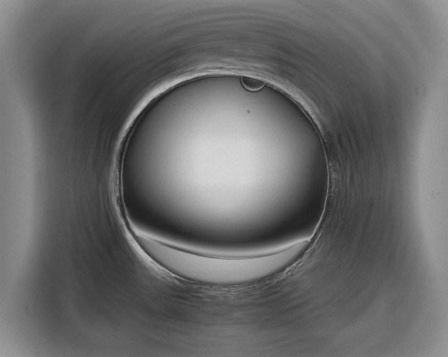 X0000116351531200912091119