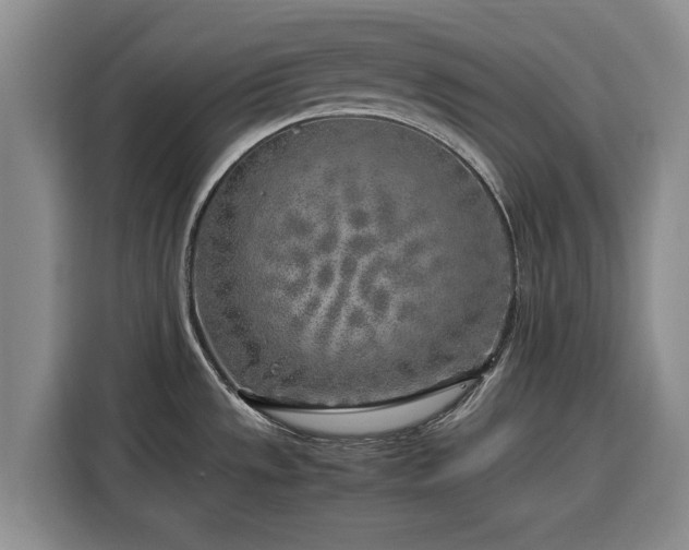 X0000116351533200912091119