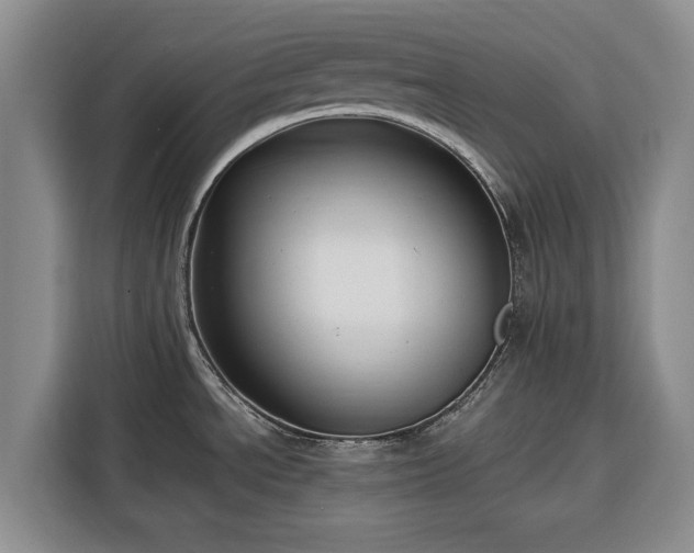 X0000116351534200912091119