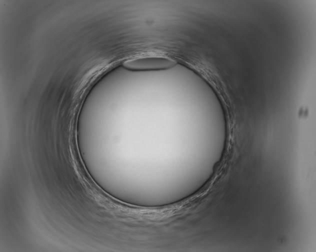 X0000116350001200912151402