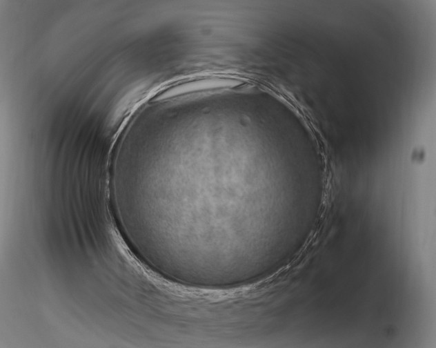 X0000116350002200912151402