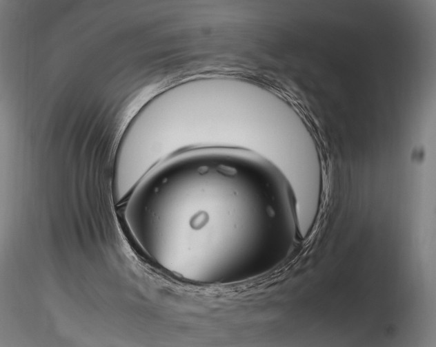 X0000116350003200912151402