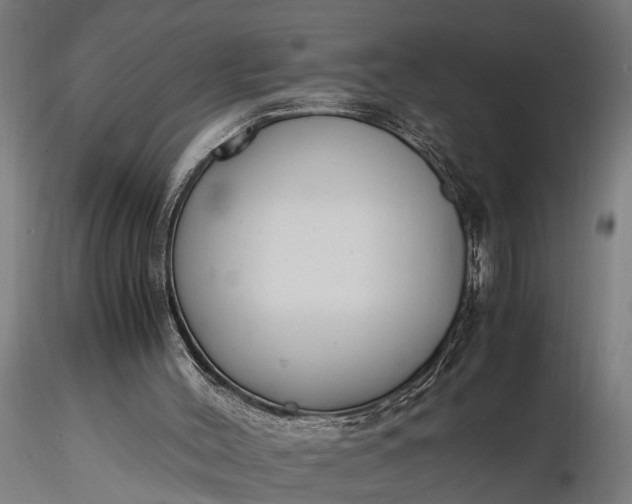 X0000116350004200912151402