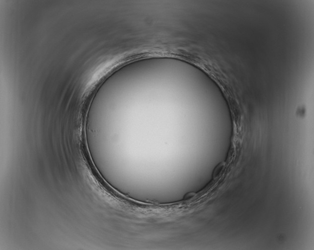 X0000116350005200912151402