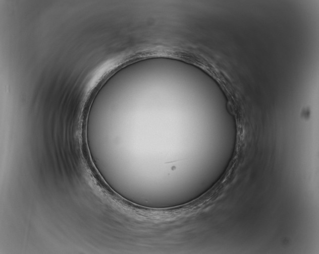 X0000116350006200912151402