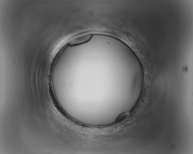 X0000116350007200912151402