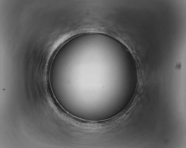 X0000116350008200912151402