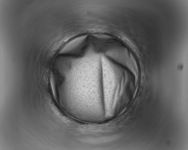 X0000116350009200912151402