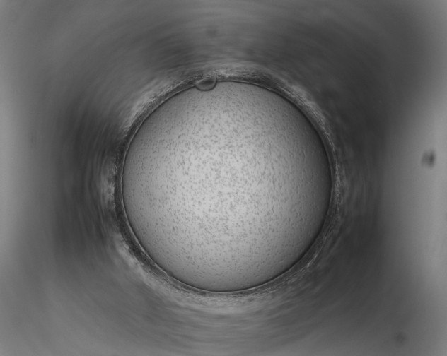 X0000116350010200912151402