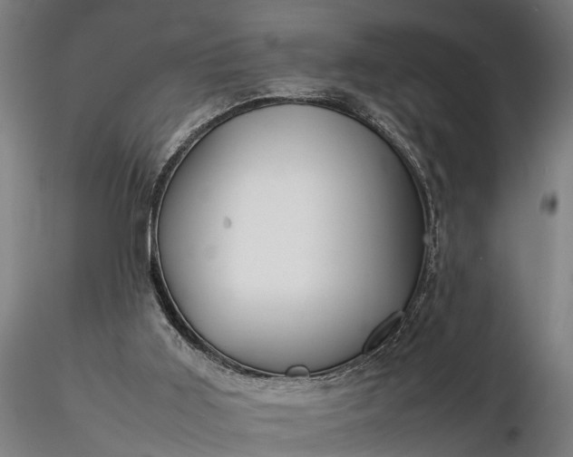 X0000116350011200912151402