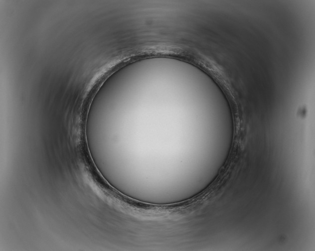 X0000116350012200912151402