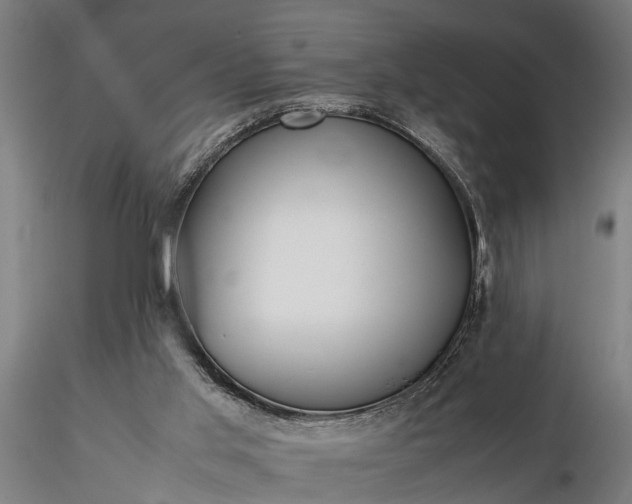 X0000116350013200912151402