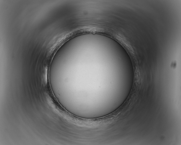 X0000116350014200912151402