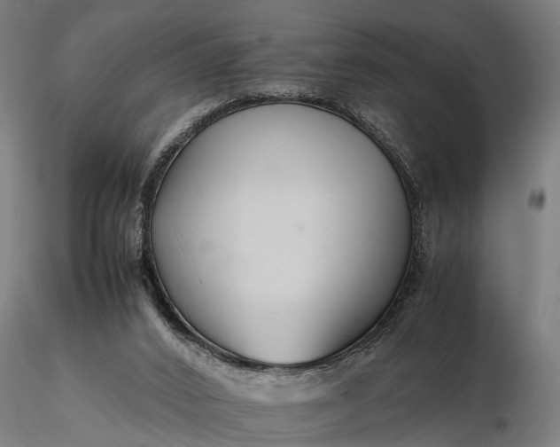 X0000116350016200912151402