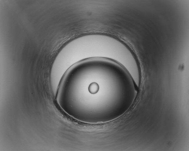 X0000116350017200912151402