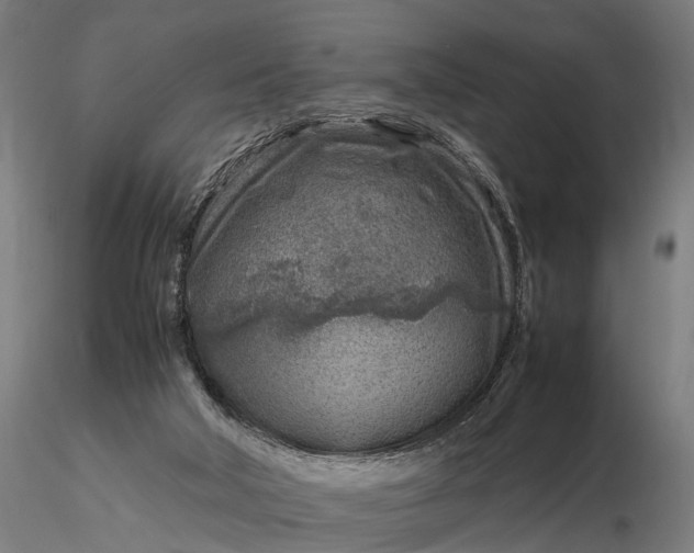 X0000116350018200912151402