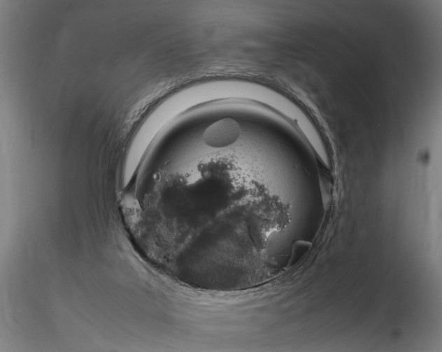 X0000116350019200912151402