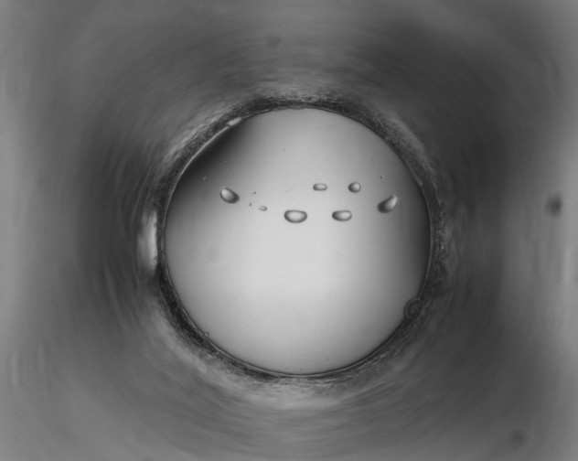 X0000116350020200912151402