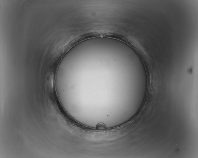 X0000116350021200912151402