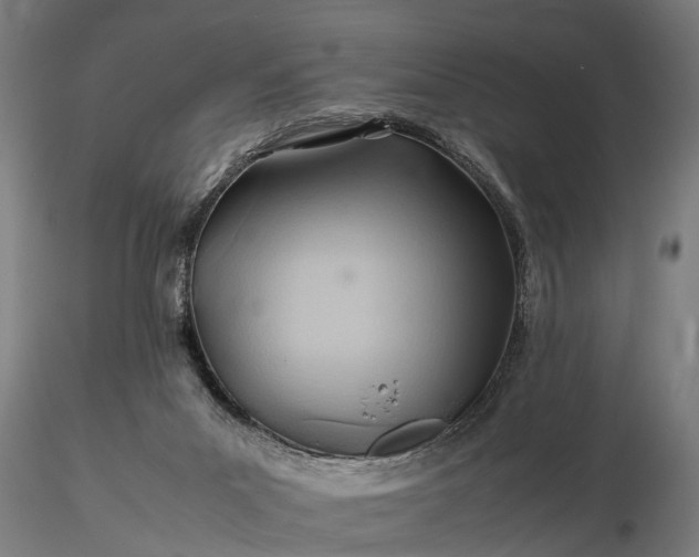 X0000116350023200912151402