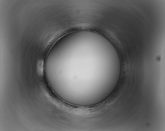 X0000116350024200912151402