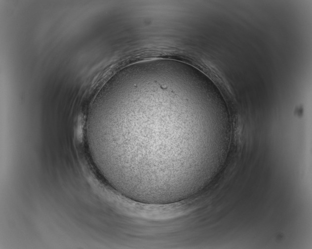 X0000116350026200912151402