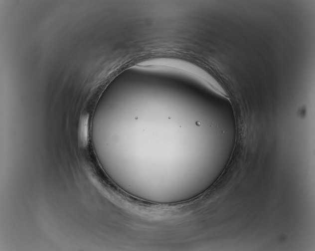 X0000116350028200912151402