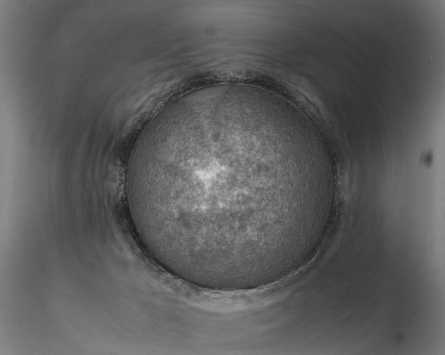 X0000116350029200912151402