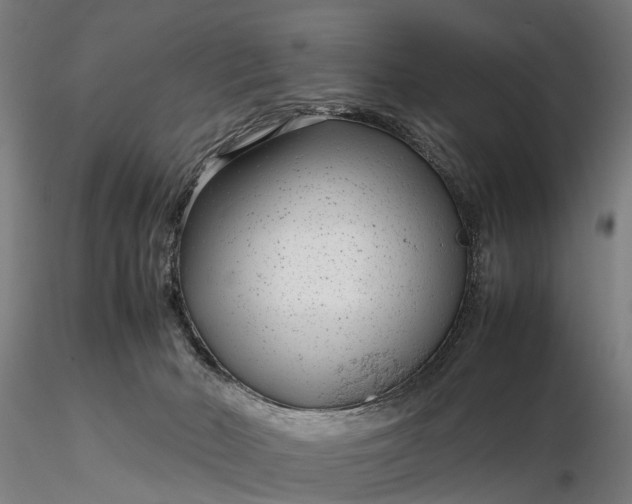 X0000116350030200912151402