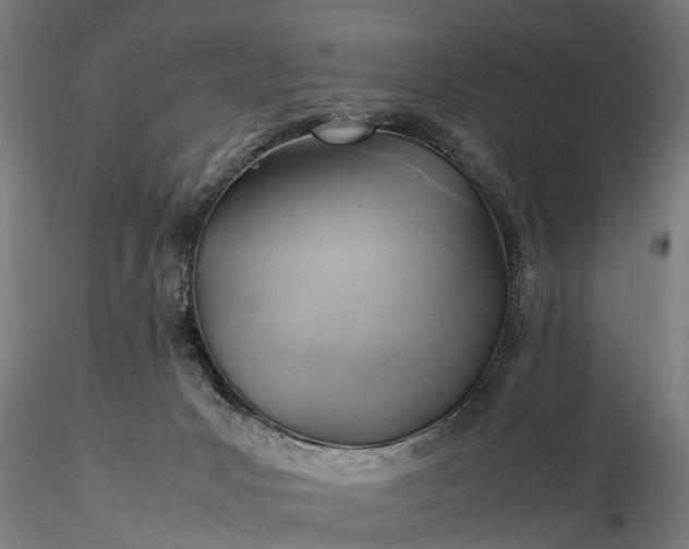 X0000116350031200912151402