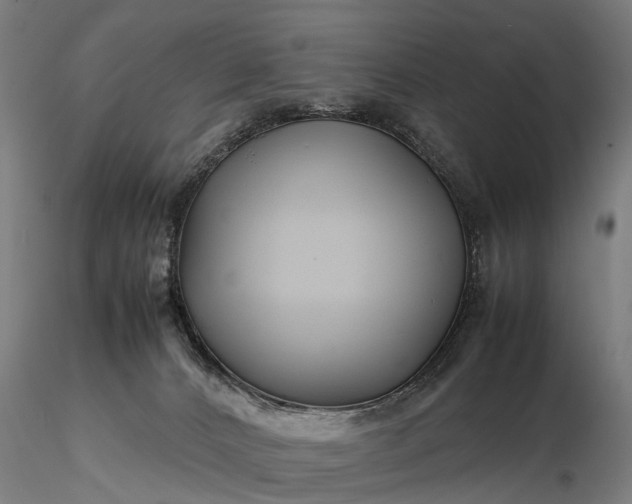 X0000116350032200912151402