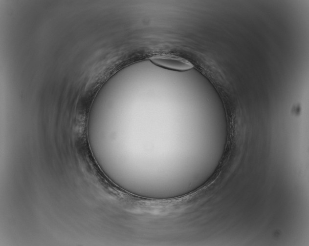 X0000116350033200912151402