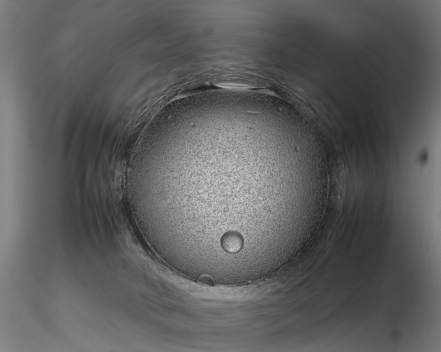 X0000116350034200912151402