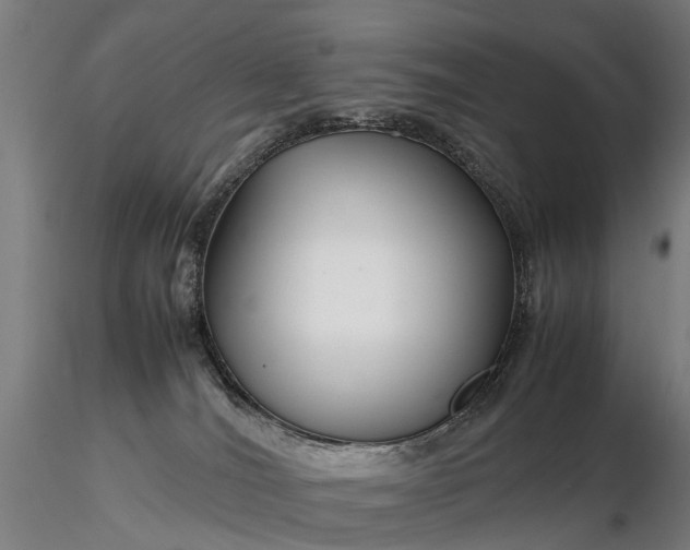 X0000116350036200912151402