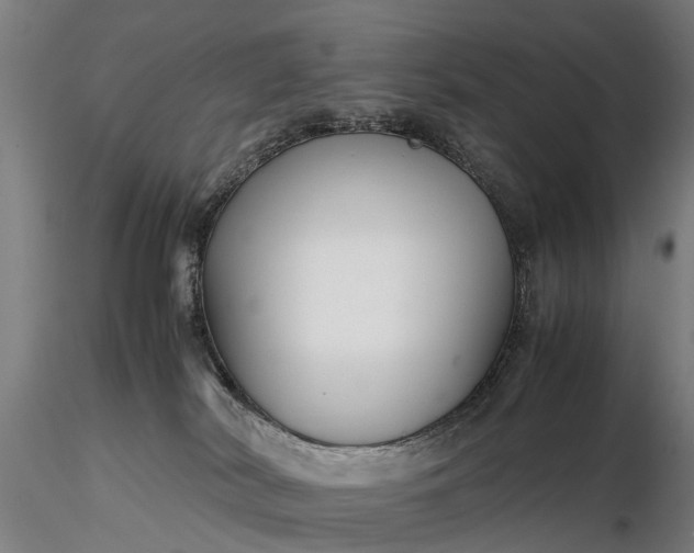 X0000116350038200912151402