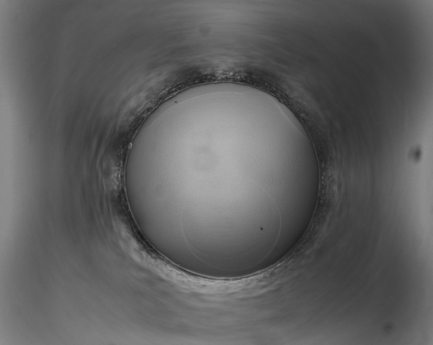 X0000116350039200912151402