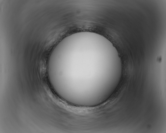 X0000116350040200912151402