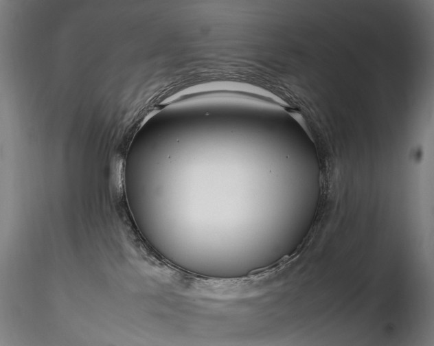 X0000116350041200912151402