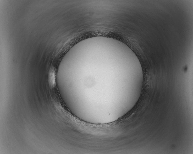 X0000116350042200912151402