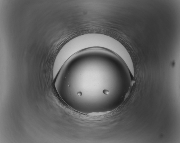 X0000116350043200912151402