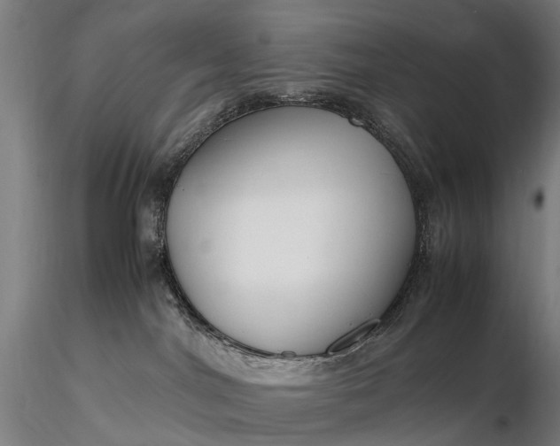 X0000116350044200912151402