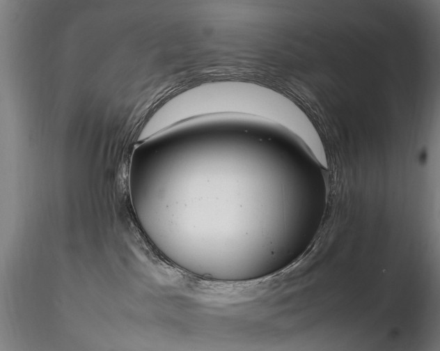 X0000116350045200912151402