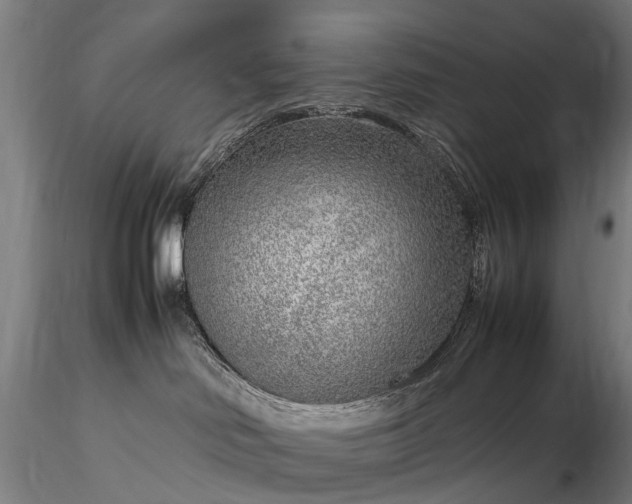 X0000116350046200912151402