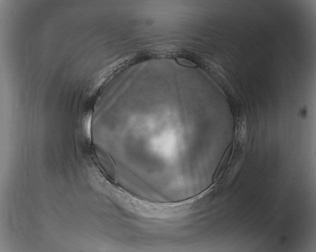 X0000116350047200912151402