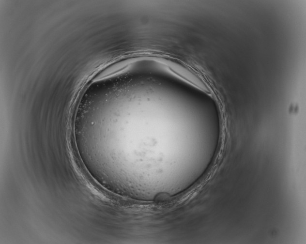 X0000116350049200912151401